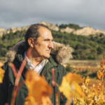 Cinco maneras de disfrutar el vino y cada momento sin prisa